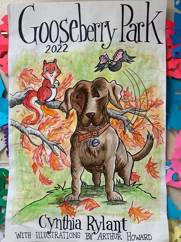Gooseberry Park cover poster for our library