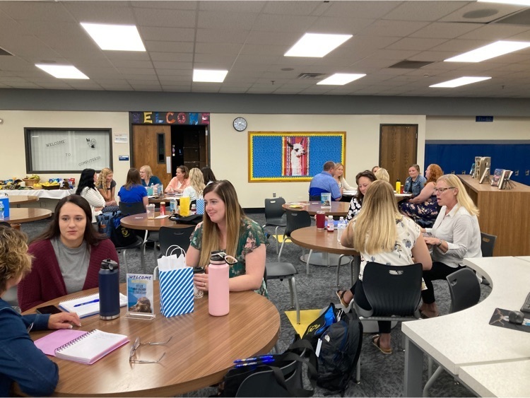 New teachers meeting with their District Mentors. 